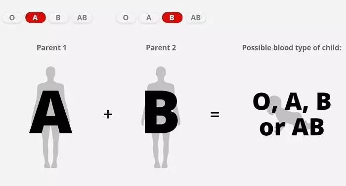 กรุ๊ปเลือด ab เกิดจาก, กรุ๊ปเลือด ab