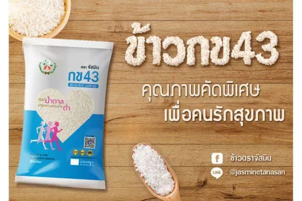 ข้าว กข 43 ยี่ห้อไหนดี, ข้าว กข 43 คือ