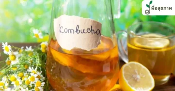 kombucha วิธีทำ